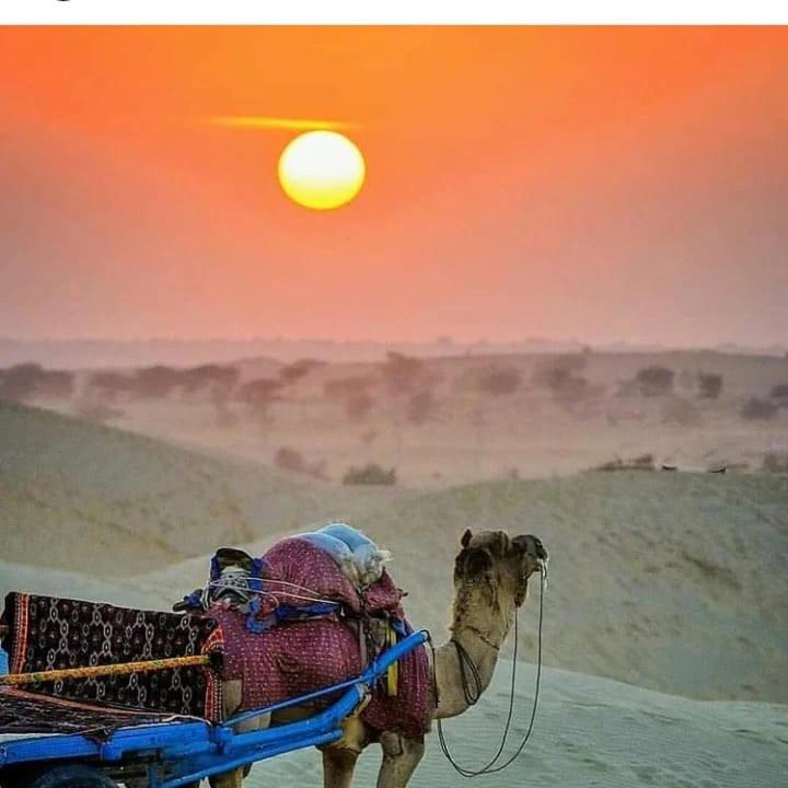 Neem Apartments - Jaisalmer Buitenkant foto